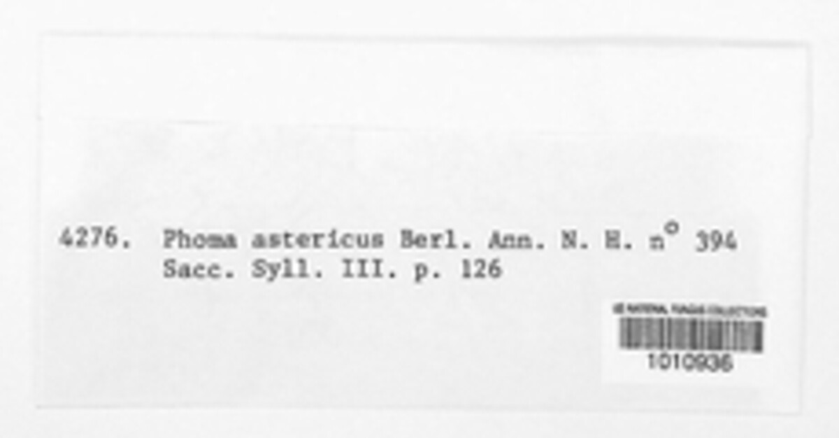Phomopsis asteriscus image